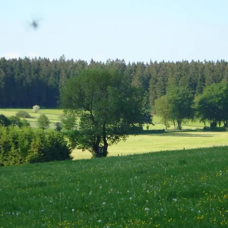Authentic Nearby A Beautiful Forest Ferienhaus
