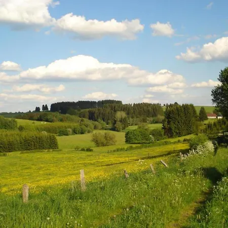 Authentic Nearby A Beautiful Forest *